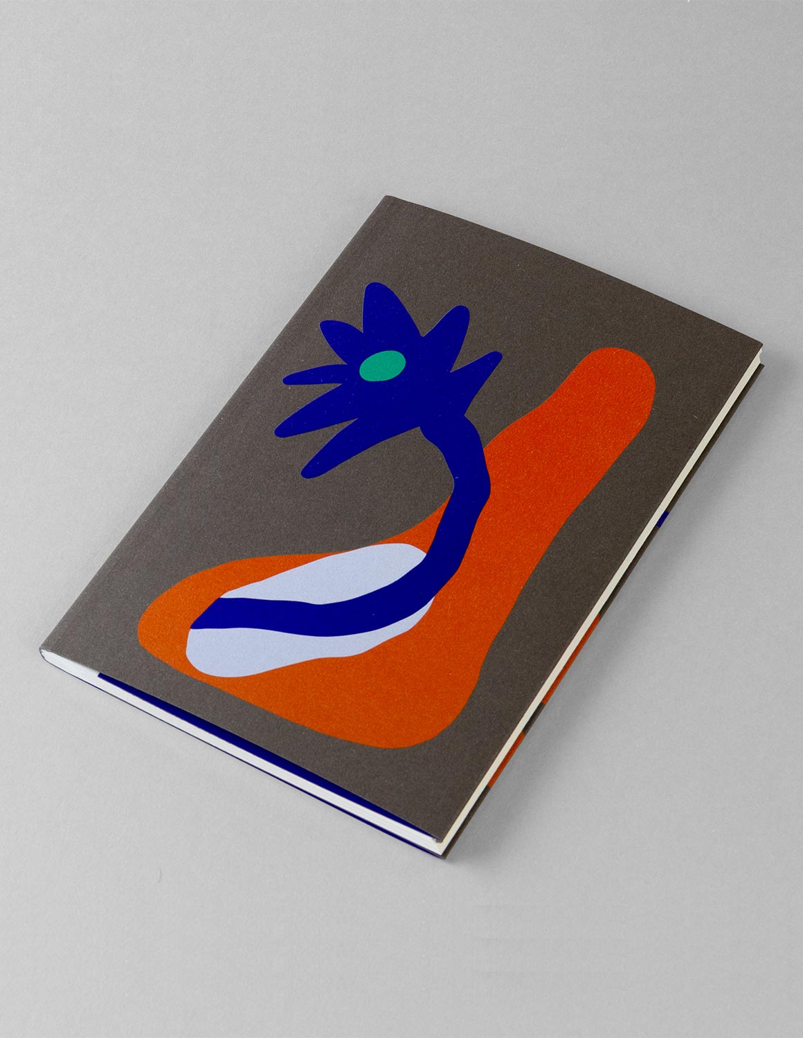 Quaderno Lanzarote - immagine 2