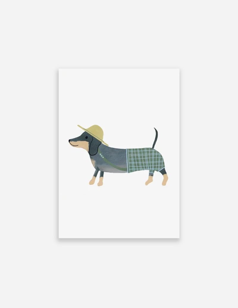 Stampa Dachshund Teckel