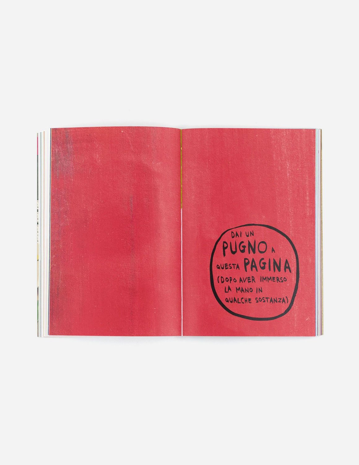 Distruggi questo diario - immagine 4