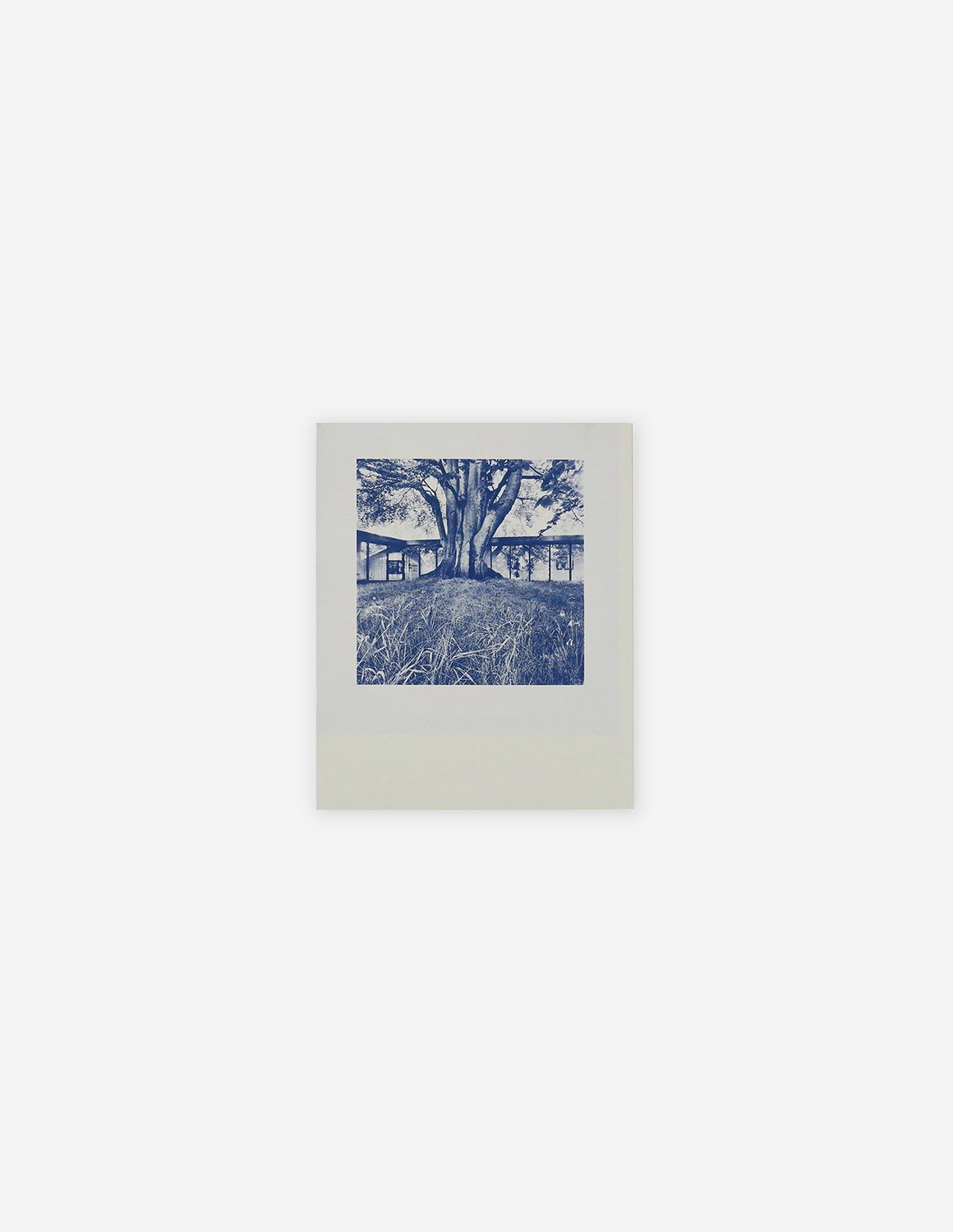 Danimarca 1961 - Ugo Mulas - immagine 2