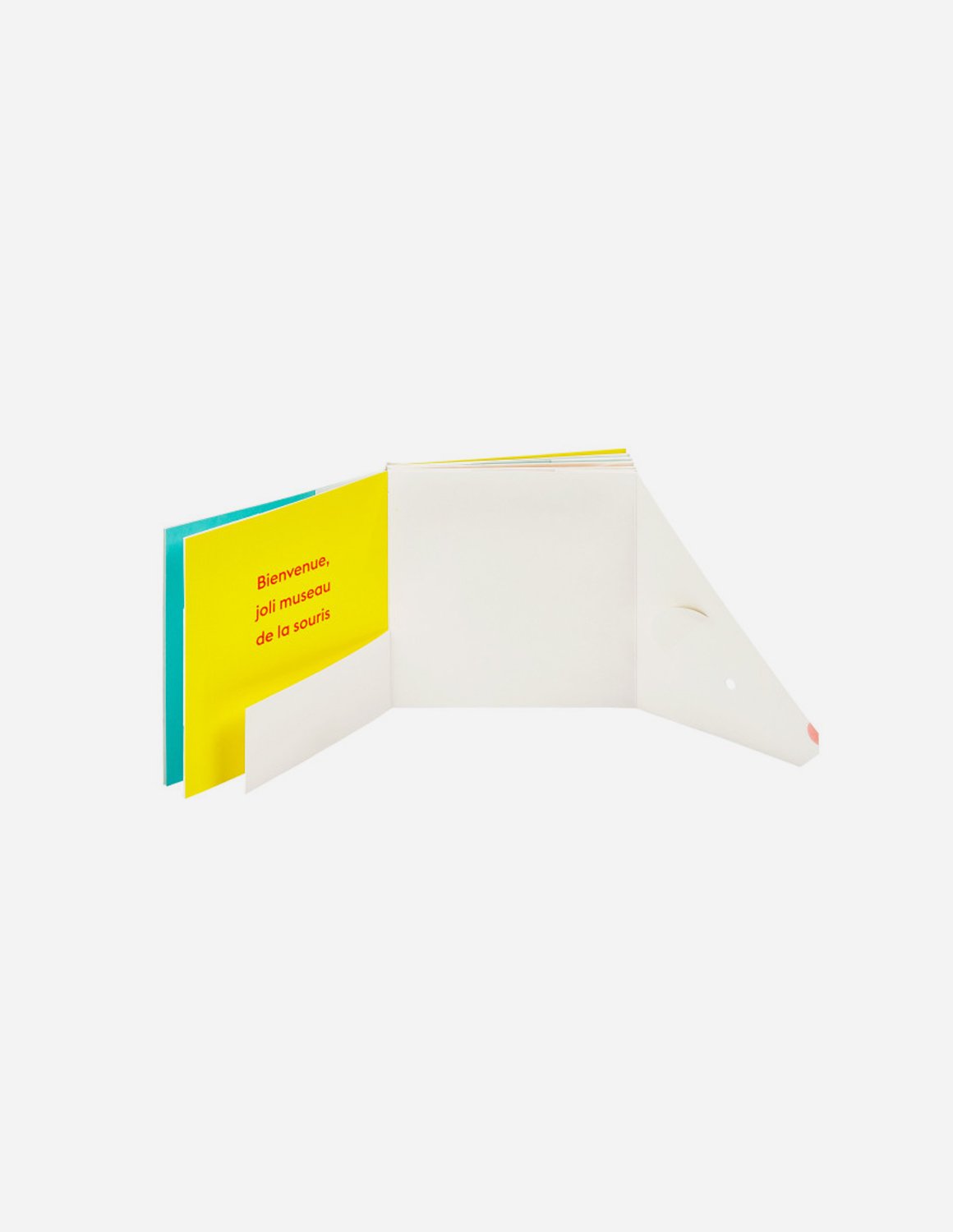 Bienvenue - Marta Comín - immagine 2