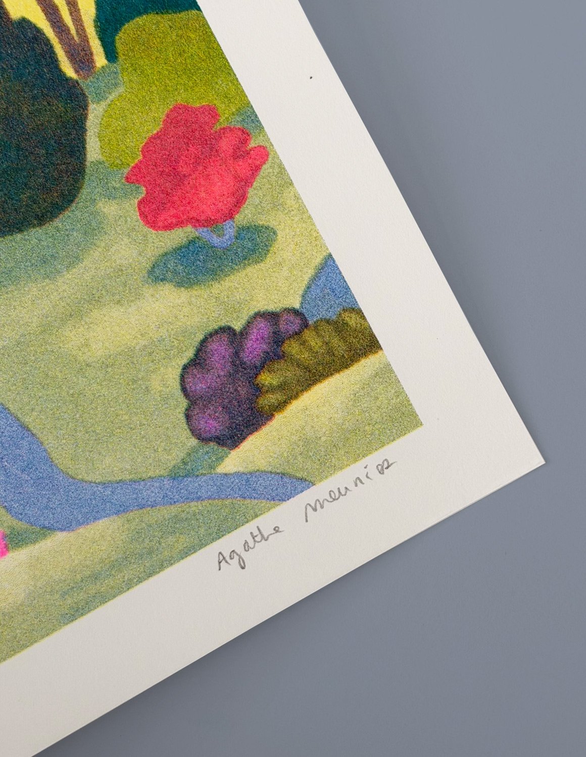 Stampa Risograph "Roselend" - immagine 4