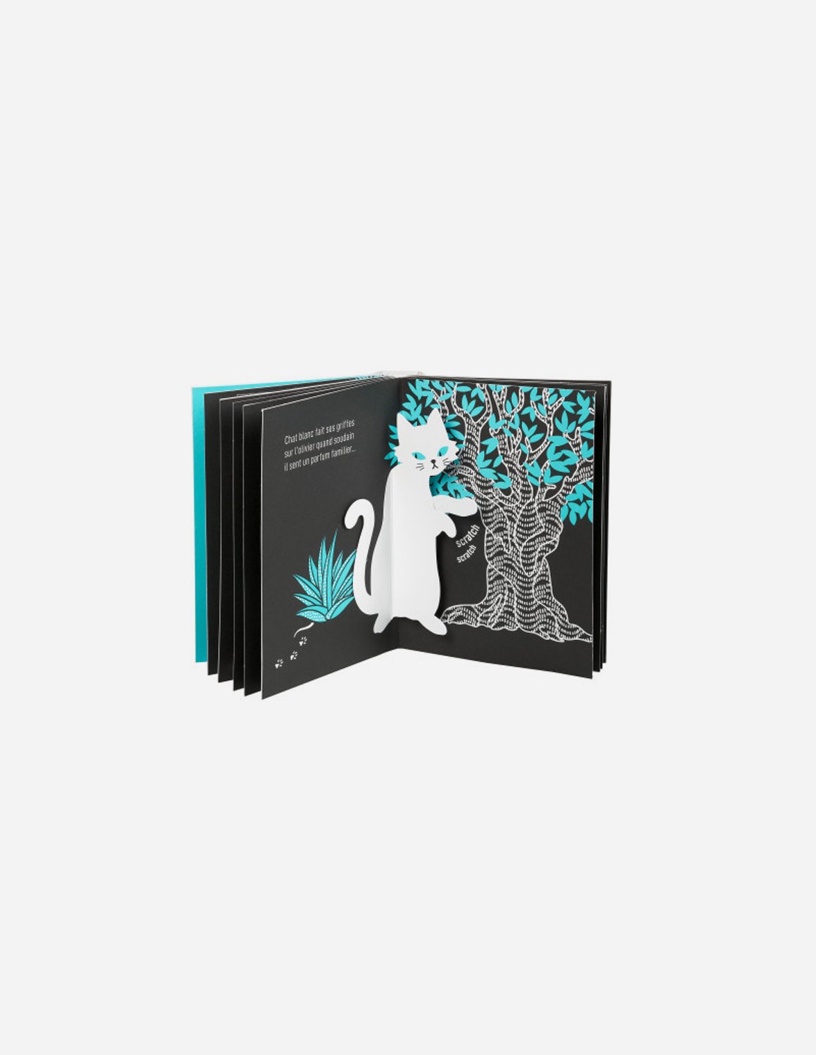 Chat Blanc - Mathilde Arnaud - immagine 3